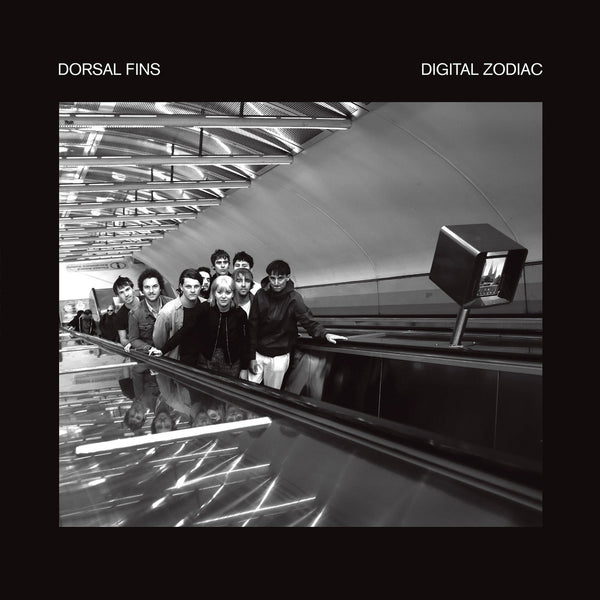Dorsal Fins – Digital Zodiac