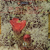 Eagles – Eagles