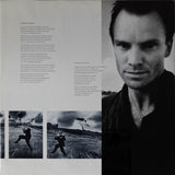Sting – The Dream Of The Blue Turtles