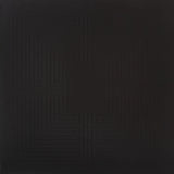 These New Puritans – Hidden