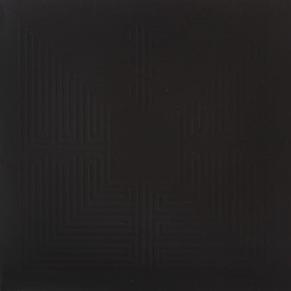 These New Puritans – Hidden